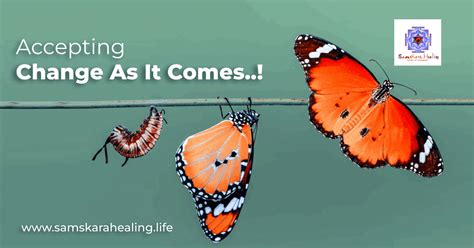 accept change and evolution