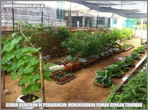 Berkebun