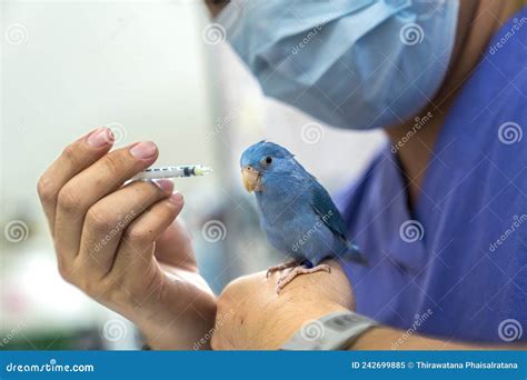 bird-on-hand-of-veterinarian