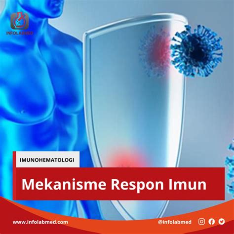 Sistem Imun