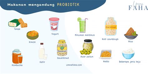 Konsumsi Probiotik