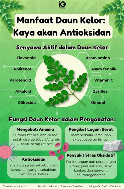 Manfaat Asam Folat untuk Kesehatan Umum