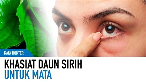 Menyehatkan Mata