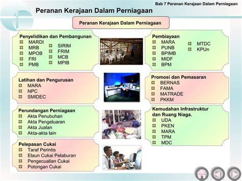 Peran Asam Folat dalam Pembentukan Sel Darah Merah