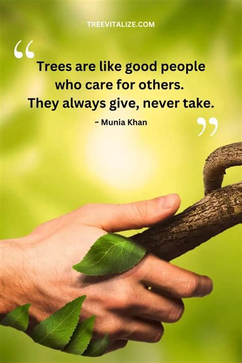 quotes-legacy-tree