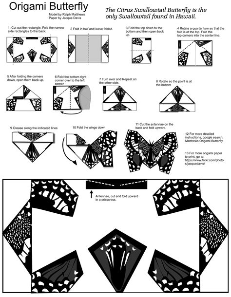 Download 06 DIY Paper Butterfly Templates Files