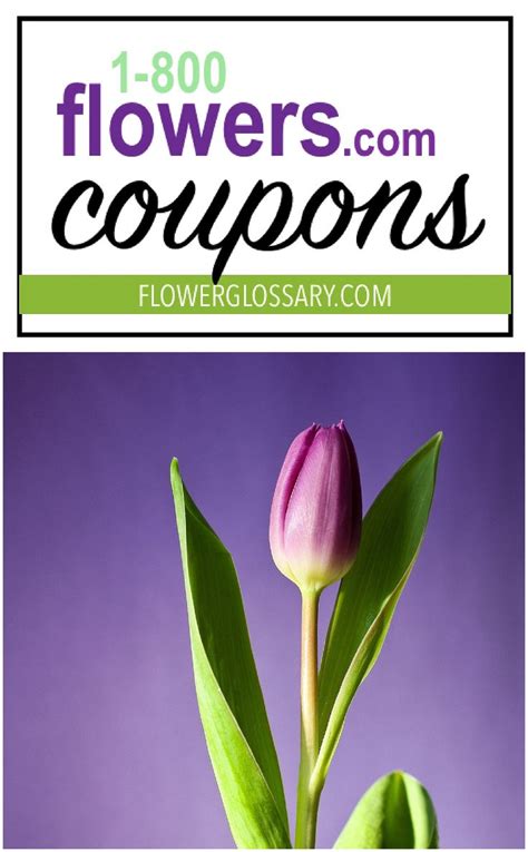 1 800 flower delivery coupons