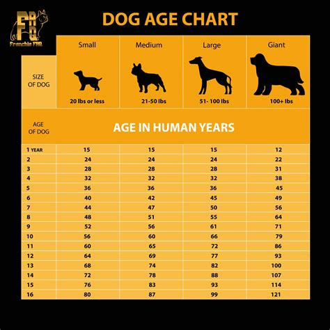 1 Dog Year