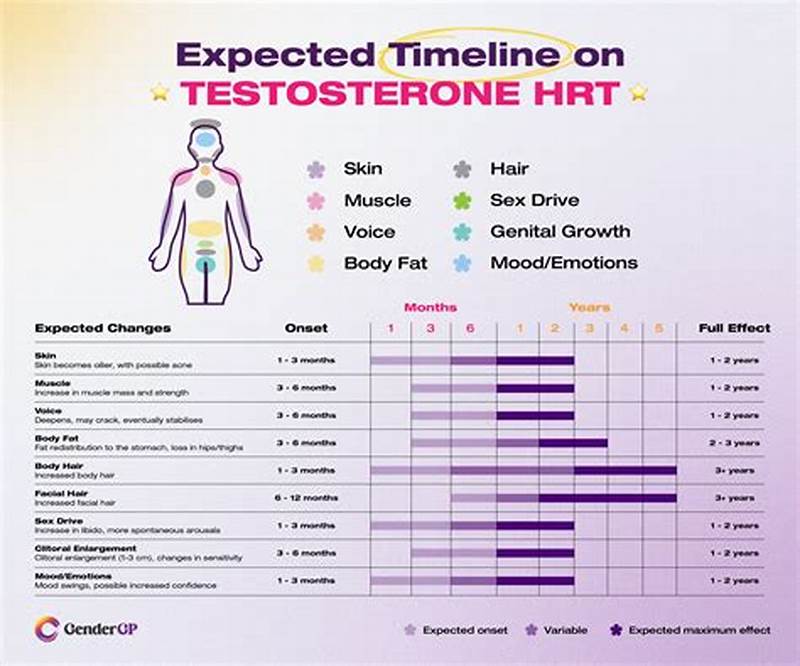 1 Week Ftm Testosterone Timeline Chart