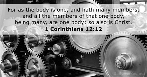 1 corinthians 12:13-20