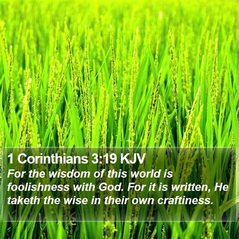 1 corinthians 3:19 esv
