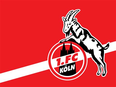 1 fc köln fußball de