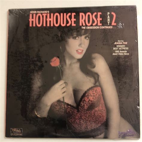 1 hothouse rose