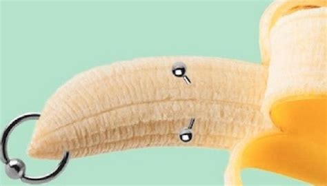 1 Prince Albert Piercing Updated