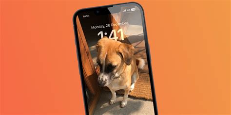 1. Cute dog wallpaper for iOS 16 Lock Screen
