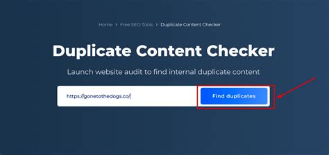 1. Duplicate Content Checker