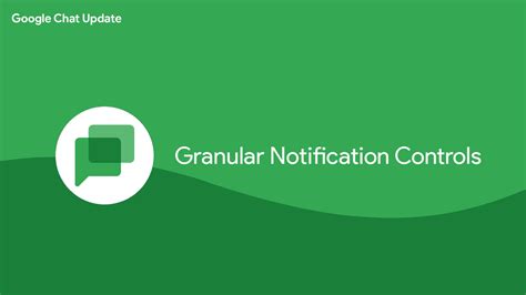 1. Granular Notifications Controls