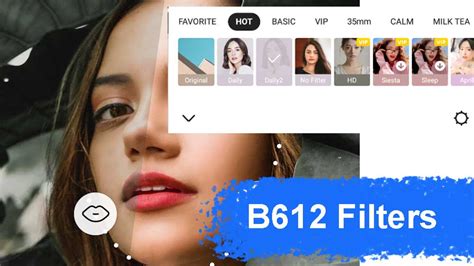 1. How to Use the B612 Filters