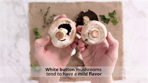 1. How to select mushrooms