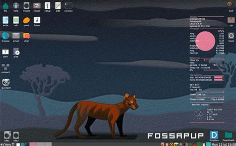 1. Puppy Linux: Best Lightweight Linux Distro