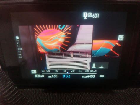 1. Quickly zoom in to check focus