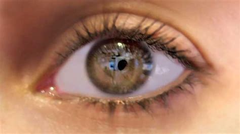 1. Small visual changes