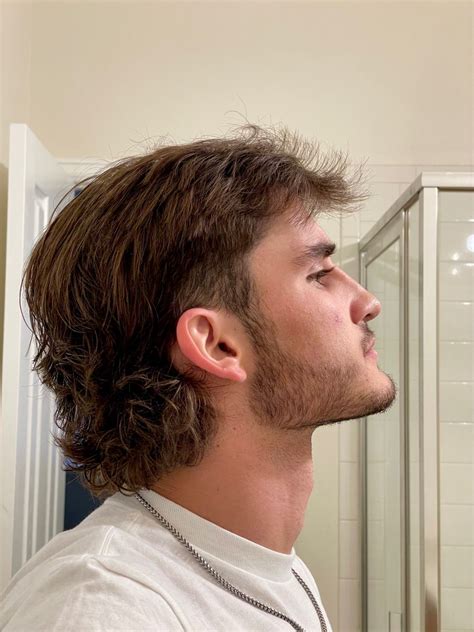 1. The Mullet