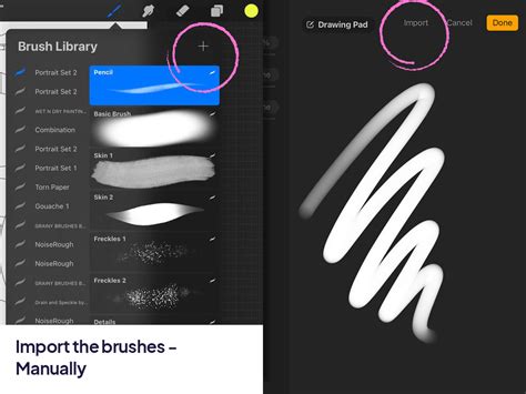 1. Use Procreate to draw and import brushes