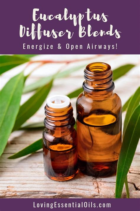 1. Use eucalyptus oil in a diffuser