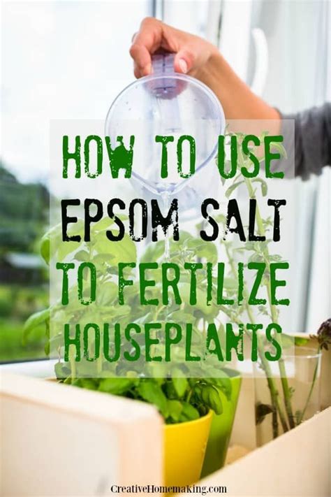 1. Using Epsom salts to fertilize your soil directly