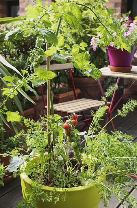 1. Using soil in pots will lead to nutrient problems