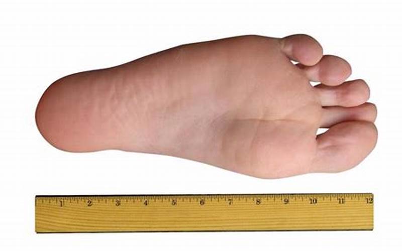 1/5 Of A Foot Measurement