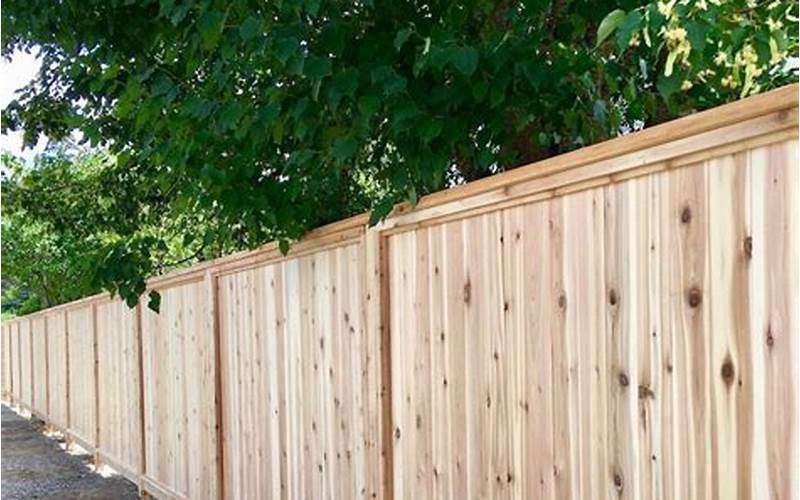 10 Ft Privacy Fence Panels: Everything You Need To Know