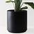 10 inch plant pot with drainage
