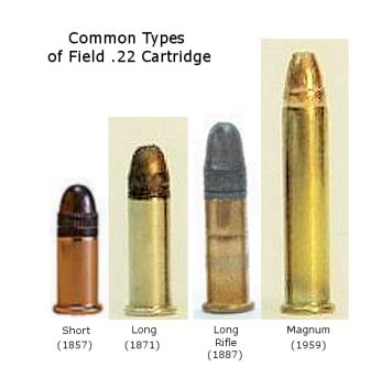 10 22 Ammo Types 