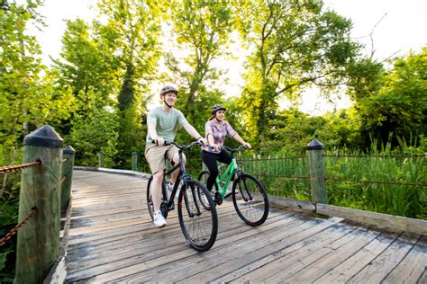 10 Best Bikes to Buy in 2024