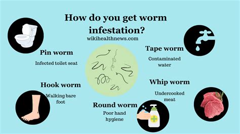 10 Essential Tips for Treating Skin Worm Infections Effectively