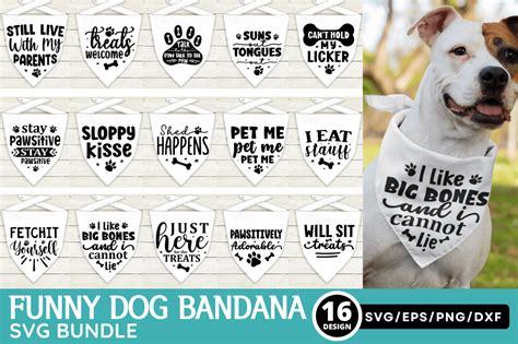 Download 10 Funny Dog Bundle | Lettering Quotes Files