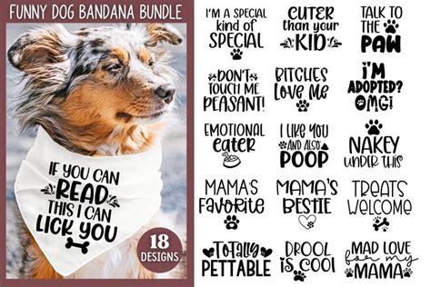 Download 10 Funny Dog Bundle | Lettering Quotes Files For Crafts
