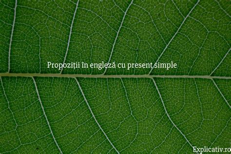 10 Propozitii Cu Present Simple