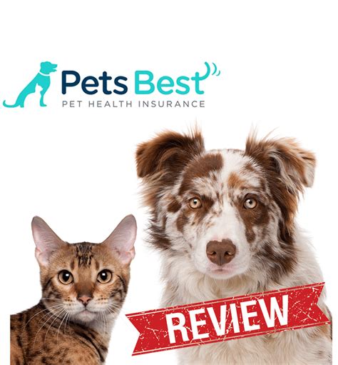 10 best pet health insurance reviews
