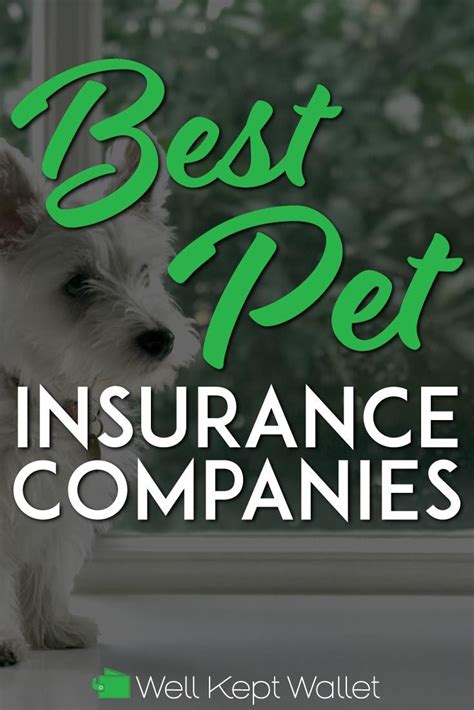 10 best pet insurance companies