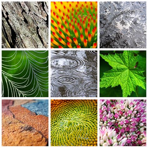 10 different patterns in nature