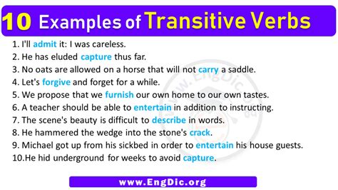 10 example of transitive verb