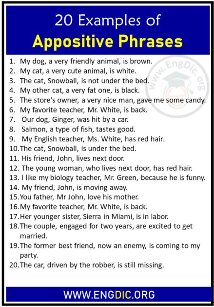10 examples of appositive phrases with answers