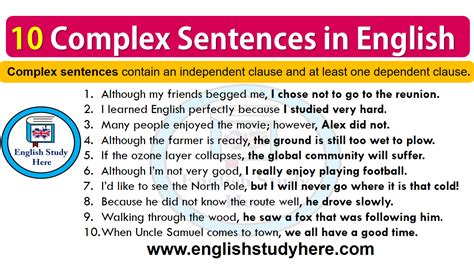 10 examples of complex sentences in english with answers