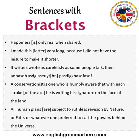 10 examples of sentences with brackets
