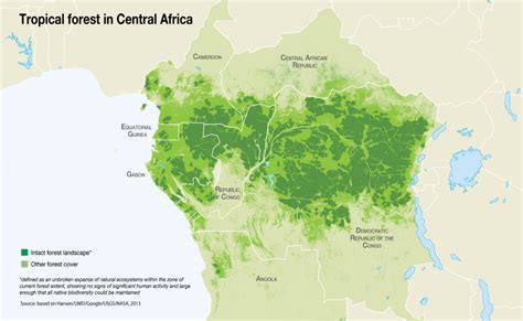 10 facts about the congo rainforest