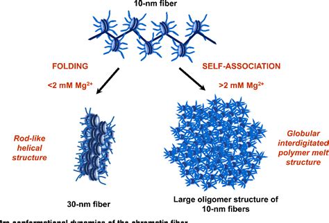 10-nm fiber