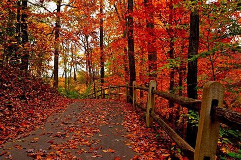 10. Autumn pathway wallpaper